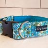 Kiwi Hound collar blue