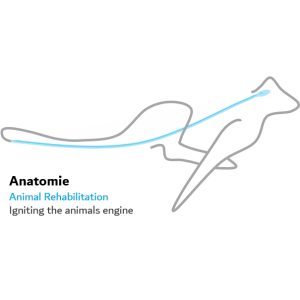 Anatomie Logo
