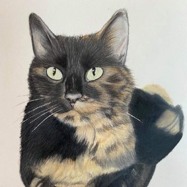 Arun O'Connor Artworks cat