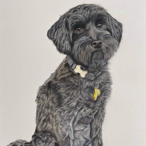 Arun O'Connor Artworks dog