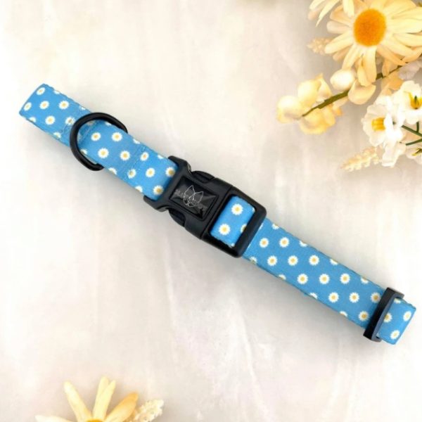 blue daisy pattern dog collar