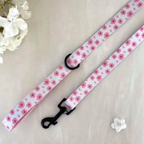 pink sakura pattern dog collar