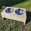Busy Kiwi Dog Bowl
