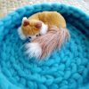 Cozy NZ pet bed