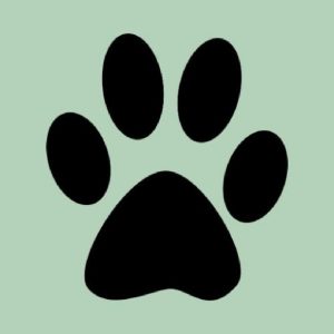 Dogamous logo