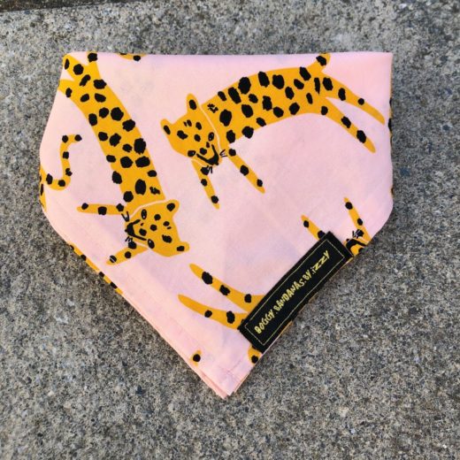 cheetah with pink