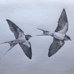Em Sherlock Art birds