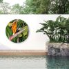 Strelitzia outdoor art
