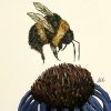Bumble bee landing on a flower art