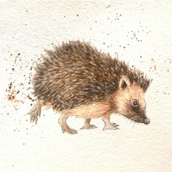 Lucy Dalman Art hedgehog