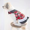 NAS Creations doggy dress