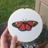 monarch butterfly