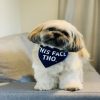 Dog bandana