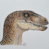 Dinosaur Drawing
