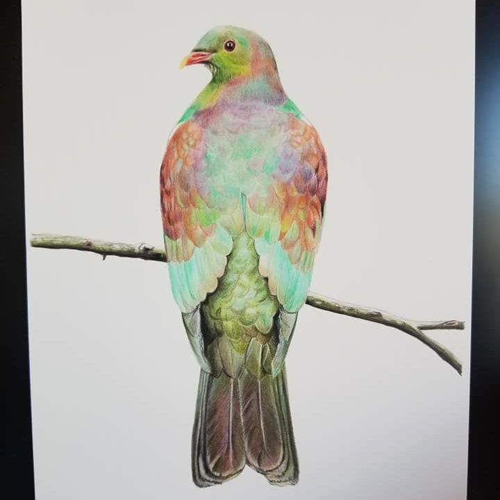 Sam Moore artwork Kereru