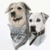 Sophie Jensen Art dogs