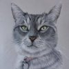 Vanessa Pollen Art cat