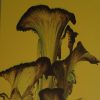 flower art