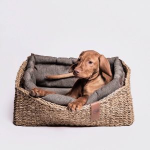 Pet products